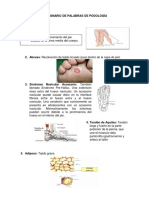 DICCIONARIO DE PALABRAS TÉCNICAS PODOLOGÍA (Autoguardado)