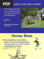 OSBA Beekeeping Slide Set 3 Intro Bees World