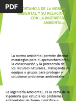 Importancia de La Norma Ambiental en La Ingeniería