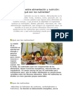 Diferencia Entre Alimentación y Nutrición