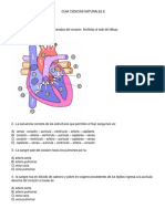 Guia Tipo Prueba Ciencias Naturales 8