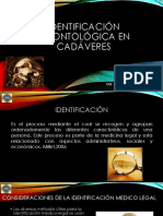 Identificacion Odontologica en Cadaveres Exhumacion e Inhumaciones Clase 4