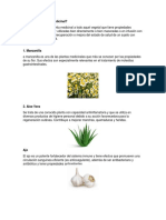 Plantas Medicinales