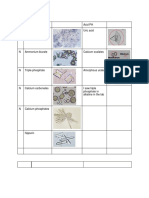 Alkaline PH Acid PH N Amorphous Phosphate Uric Acid