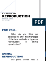 Animal Reproduction: Darryl G. Bayona