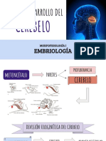 Embriología