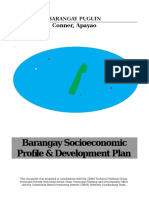 Barangay Socioeconomic Profile & Development Plan: Conner, Apayao