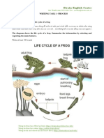 Process - Line Graph - Bar Chart - Pie Chart