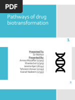 Pathways of Drug Biotransformation