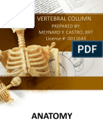 Vertebral Column