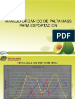 Manejo Agronomico de La Palta Organica - Apropalmo