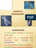 Genetica Microbiana