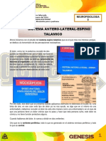 Sistema Anterolateral Espinotalamico