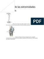 Huesos de Las Extremidades Inferiores