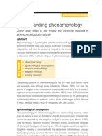 Understanding Phenomenology