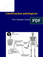 Calcificações e Pigmentações Patológicas