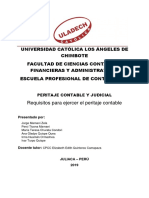 Monografia de Peritaje Contable