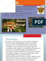 Reino Fungi