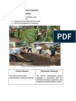 Quarter 2 LESSON: Produce Vegetables Module 3: Growing Seedlings