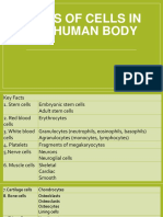 Types of Cells in The Human Body