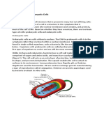 Prokaryotic and Eukaryotic Cells: Two Types of Cells