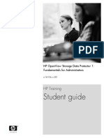 DP5.5 Fundamental PDF