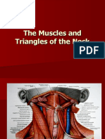 The Muscles and Triangles of The Neck