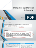 Principios Del Derecho Tributario