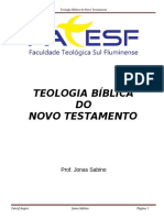 Apostila de Teologia Bíblica Do Novo Testamento