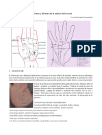 Lineas y Montes de La Mano PDF