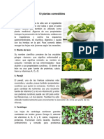 10 Plantas Comestibles