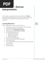 Horizon Interpretation