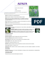 Analisis Macroscopico Alfalfa