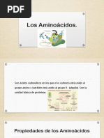 Los Aminoácidos