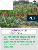 Metodos de Selección de Semillas