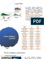 Tarea 2. Especies Acuaticas de Interes Comercial en El Ecuador