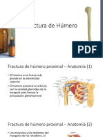 Fractura de Húmero