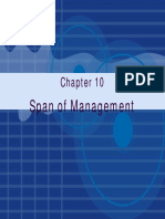 Chapter10-Span of Management