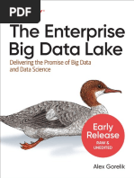 Big Data Lake