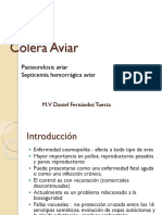 Cólera Aviar