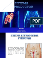 Sistema Reproductor