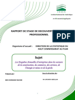 Rapport PDF