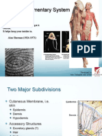 CH 5: Integumentary System