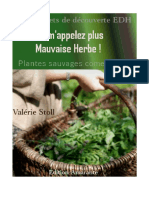 Livret Plantes Sauvages Comestibles