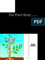 Plant and Body Tissue