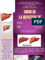 Virus de La Hepatitis 'B''