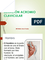 LX Acromioclavicular