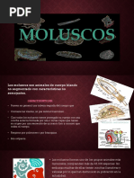 Moluscos