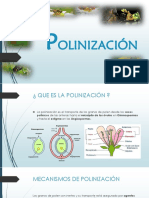 Seminario Polinización