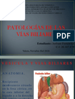 Patologías de Las Vías Biliares